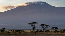 6 Days Private Tour of Masai Mara Lake Nakuru and Amboseli Safari