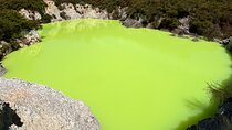 Private RotoruaTour Waiotapu & Redwood forest & spa from Auckland