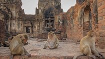 From Delhi: Monkey Temple and Jaipur City Tour By Car