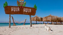 Hula Hula Island Private Speed Boat & Transfer-Hurghada