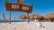 Giftun Island VIP Sea Trip Lunch on Bord and Transfer - Hurghada