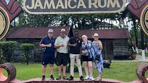 Appleton Estate ,YS Falls, black river Safari private tour 
