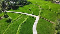 Private Tour in Lombok Local Village