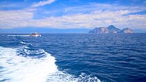 Yilan Whale Watching and Animal Farm Private Tour from Taipei