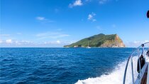 Yilan Day Tour Whale Watching Cruise and Animal Farm 