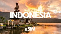 Bali Data eSIM: 0.5GB Daily to 20GB-30 Days (Instant Delivery)