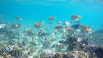 Sian Ka’an Tour of Muyil Ruins and a Swim in Magical Cenote