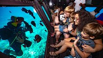 Semi Submarine Sea Trip & Diver Show With transfer - Marsa Alam
