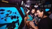  Semi Submarine and Snorkeling Sea Trip With Transfer - Hurghada