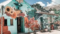 3 Island Adventure in Holbox: Explore, Relax, and Unwind