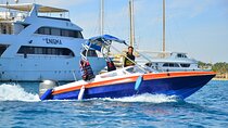 Private Speedboat to Dolphin House with Water Sports - Hurghada