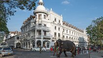 EVERYTHING IN KANDY MULTIPLE OPTIONS ToURS 