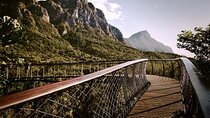 Kirstenbosch Botanical Garden and Constantia Wine Tasting Tour