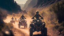 3 Activities in 1 Package Quad Bike, Camel Ride and Horse Riding