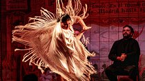  Authentic Flamenco Show in Flamenco de Lions