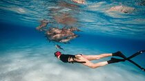 Snorkeling at Sataya Dolphin House With Lunch​​​​ - Marsa Alam