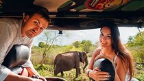 Yala National Park Leopard Safari - HALF DAY/FULL DAY TOUR