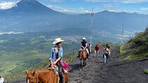 Pacaya Volcano Horseback Fast Ride Lava Pizza Chef