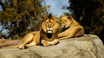 Wildlife and Ancient Expedition Tour in Teotihuacan Safari