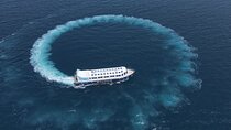 Semi Submarine 2 Hours sea trip & Snorkeling & Transfer–Hurghada