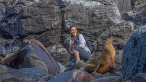 YACHT LA PINTA HUMBOLDT ISLES EXPEDITION (Thurs - Mon)