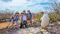 YACHT ISABELA II SEABIRD SANCTUARY EXPEDITION (Mon - Fri)