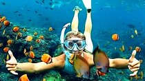 Amazing Snorkeling at Blue Lagoon