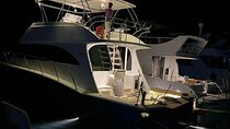 ViP Tour by Private Boat with Snorkeling and Lunch From Hurghada
