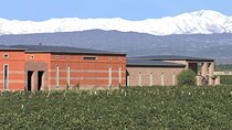 Private Luján de Cuyo Wine-Tasting Tour 