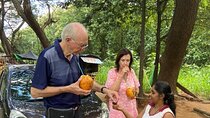 Kandy to Nuwaraeliya day trip with expert 