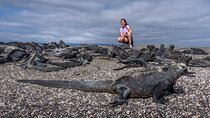 YACHT ISABELA II ISLANDS OF FIRE ADVENTURE (Thurs - Mon)