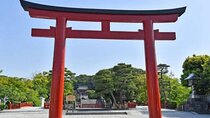 One day fully customize the tour for kamakura and Yokohama