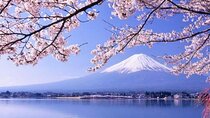 One day tour to Mount Fuji's popular attractions