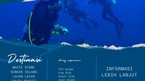 Diving and snorkling on gili sekotong