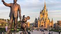Tokyo Disney Resort Park E-Tickets with Optional Tokyo Metro Pass