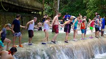VIP Dunn River Falls and Blue Hole Experience