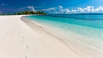 Full day Private Hidden Beach Escape 