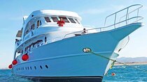 Marsa Mubarak Snorkeling Trip & Lunch with Transfer – Marsa Alam