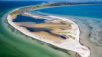 Bird Watching Private Tour in Copenhagen