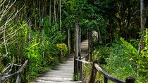 Private Tour: Hot spings & Sleeping Giant Garden hiking Adventure