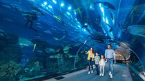Dubai Aquarium and Underwater Zoo