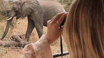 3-Day Manyara, Tarangire and Ngorongoro Crater