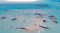 Mnemba Island Dolphin & Snorkeling Tour – Zanzibar Adventure