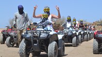 Super Safari Quad, Jeep, Camel Ride, Dinner Bedouin - El Quseir
