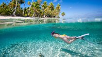 Saona Island Adventure: Natural Pool & All-Inclusive Drinks