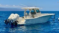 Luxury Private Charter aboard Phoenix II - 6 Passengers Max