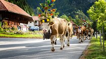 Zurich Airport ZRH to Interlaken Private Transfer Service