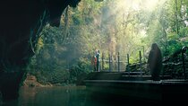 Auckland to Rotorua via Waitomo Caves Small Group Tour (One Way)