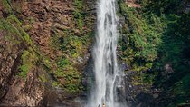 Wli Waterfall and Tafi Atome Monkey Sanctuary (Day Visit)