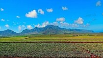 Oahu Grand Circle Island Experience Departing from Maui